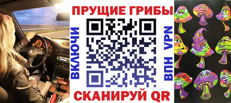 Псилоцибиновые грибы Psilocybe  Купить  Жуковка 